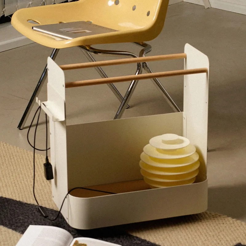 Multi-functional Household Mob - Sports Equipment Storage Rack 评论和价格